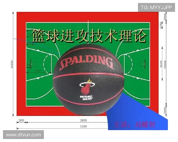 西安排球队的技术分析与战术创新探讨