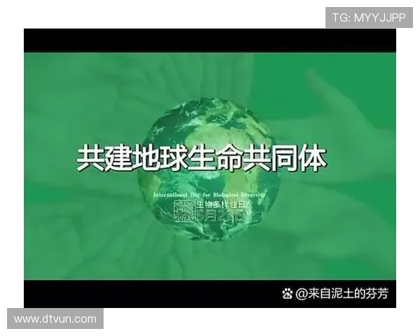 足球巨星乔维的成长历程与辉煌成就全解析